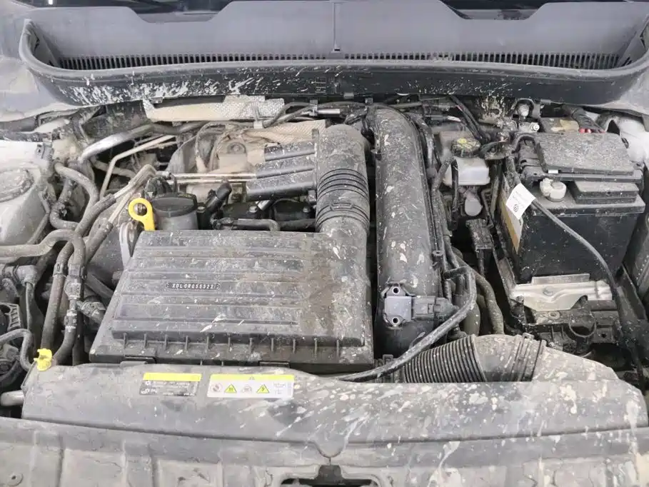 Volkswagen Tanying 2024 2023 Model 200TSI DSG Joy Smart Connect Edition