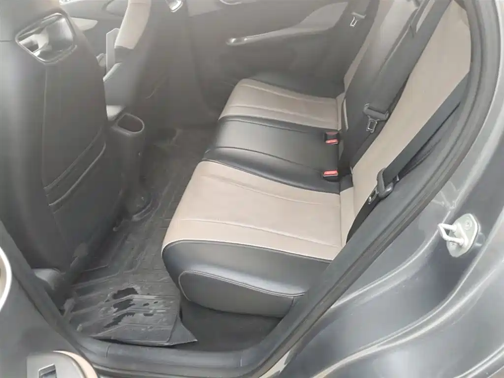 BYD Dolphin 2023 420km Fashion Edition фото 17