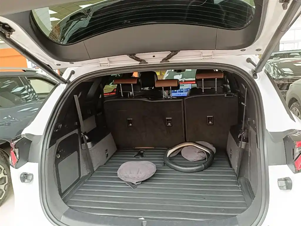 BYD Tang New Energy 2021 DM-i 112KM Honor фото 19