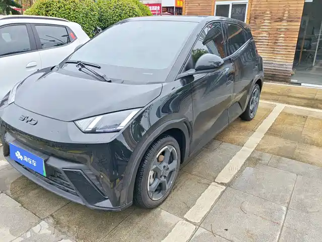 BYD Seagull 2024