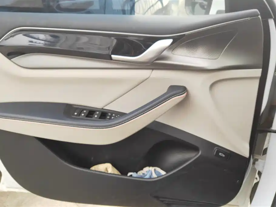 BYD Qin PLUS 2021 EV 400KM Luxury Model фото 7