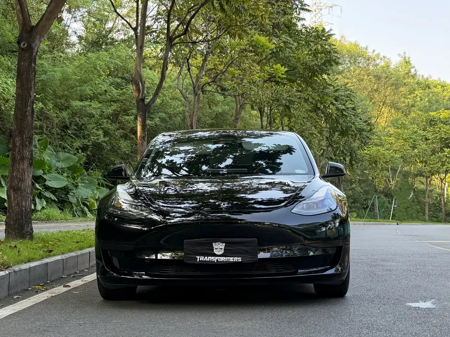 Фото 2 - Tesla Model 3