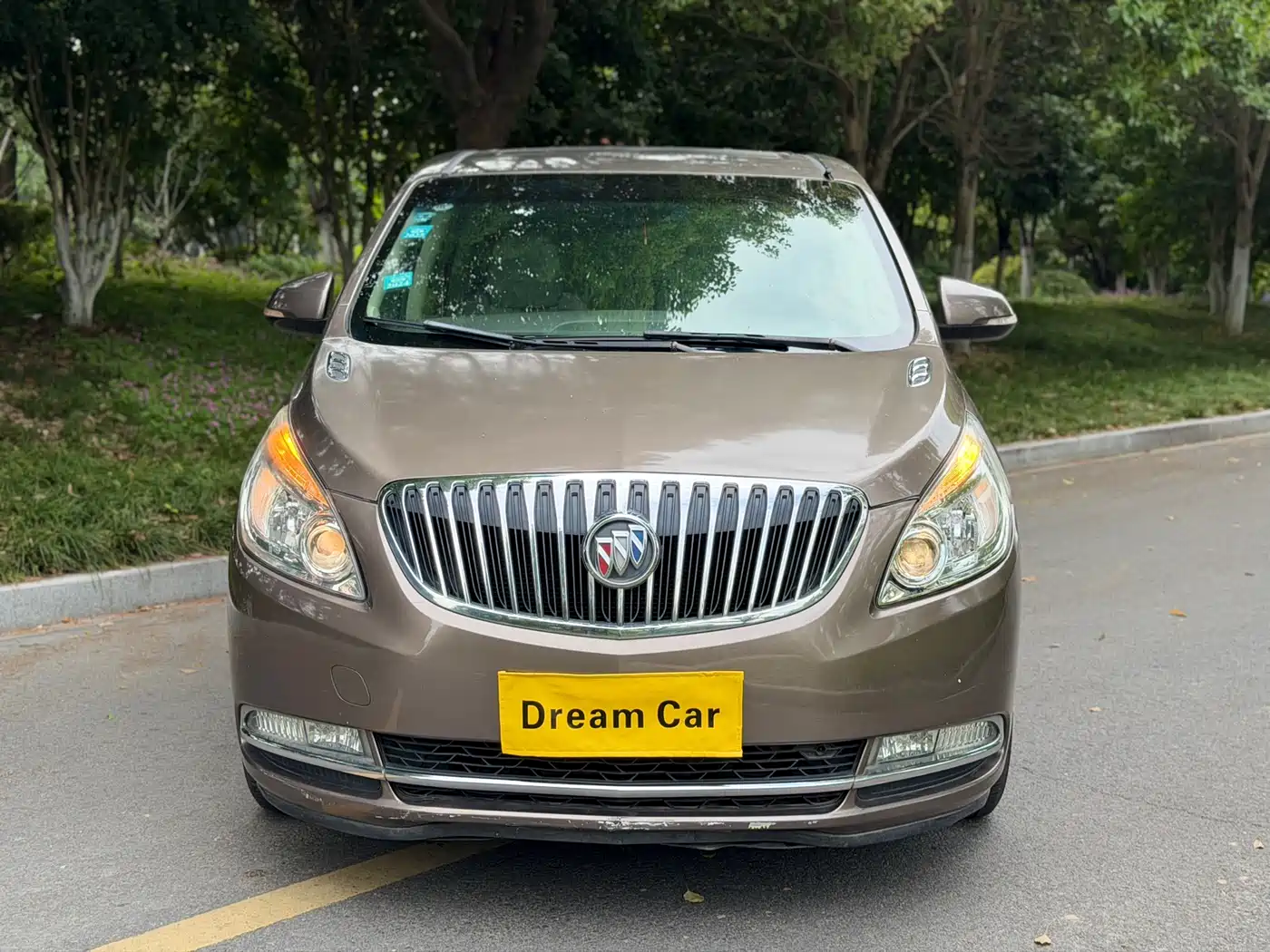 Buick GL8 2013 2.4L CT Luxury Business Comfort Edition фото 6
