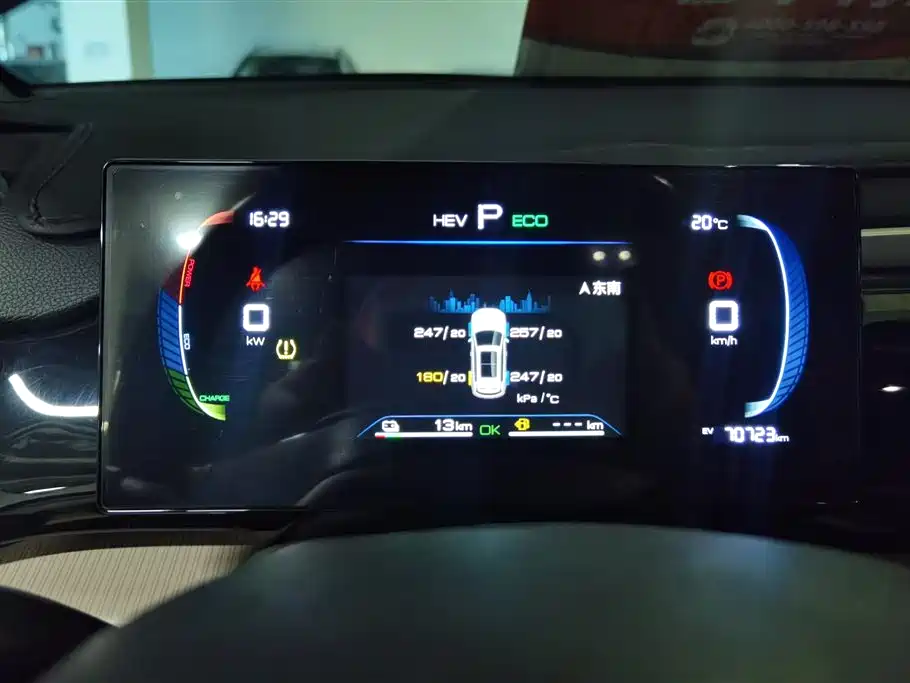 BYD Song Pro New Energy 2024 Glory Edition DM-i 71KM Pilot фото 14