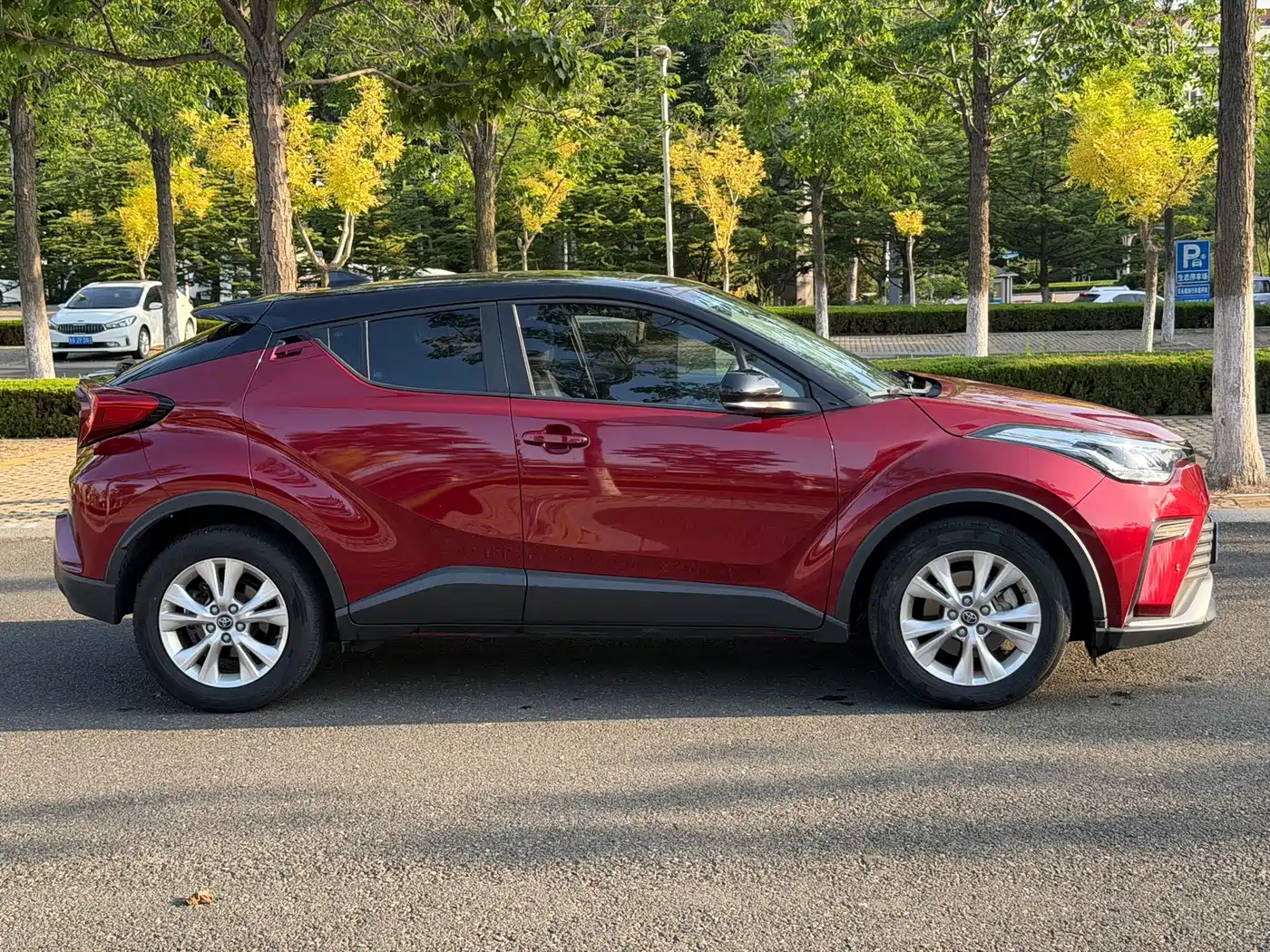Toyota IZOA 2021 2021 2.0L Yichi Edition
