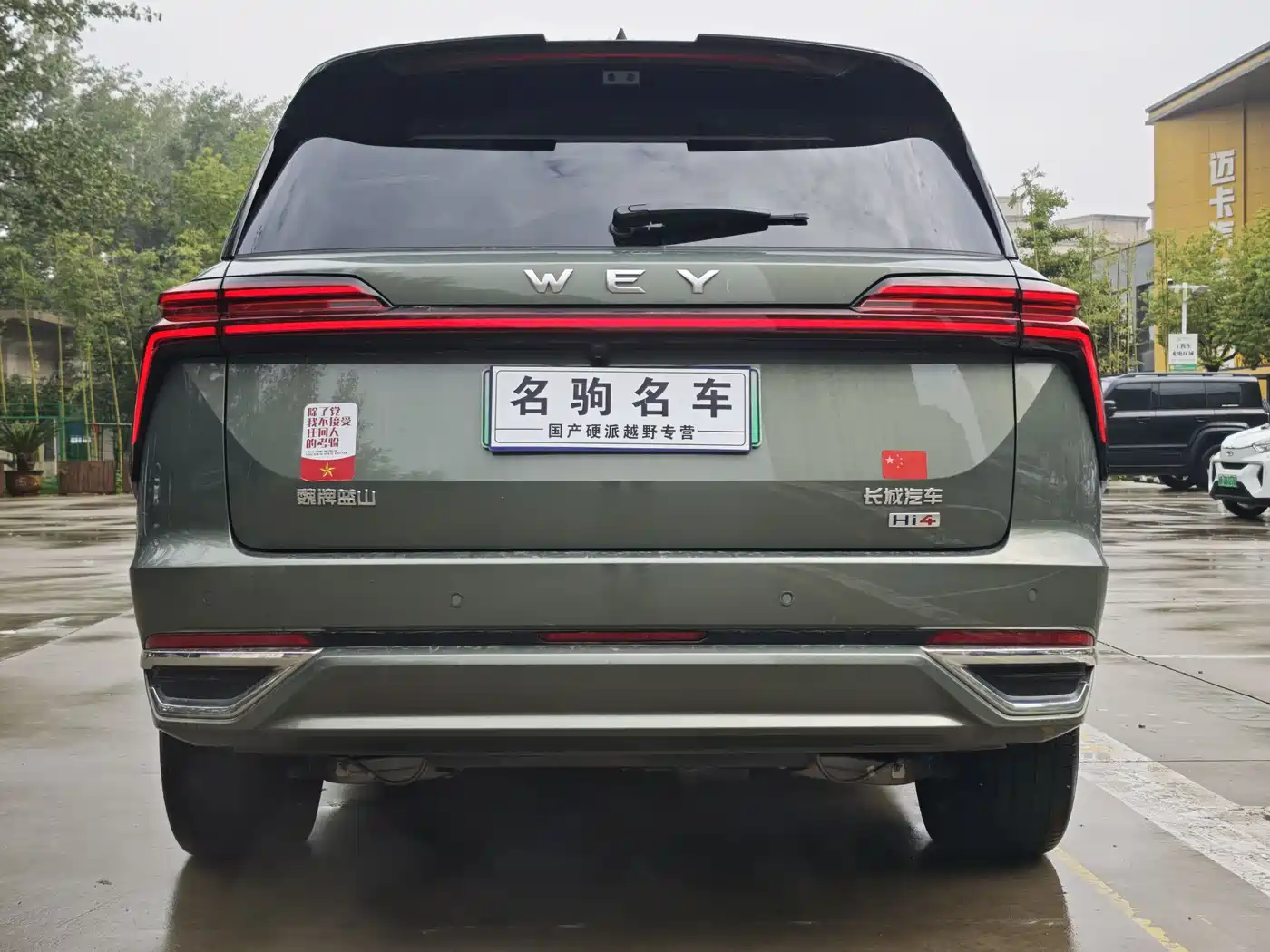 WEI PAI WEI BRAND BLUE MOUNTAIN