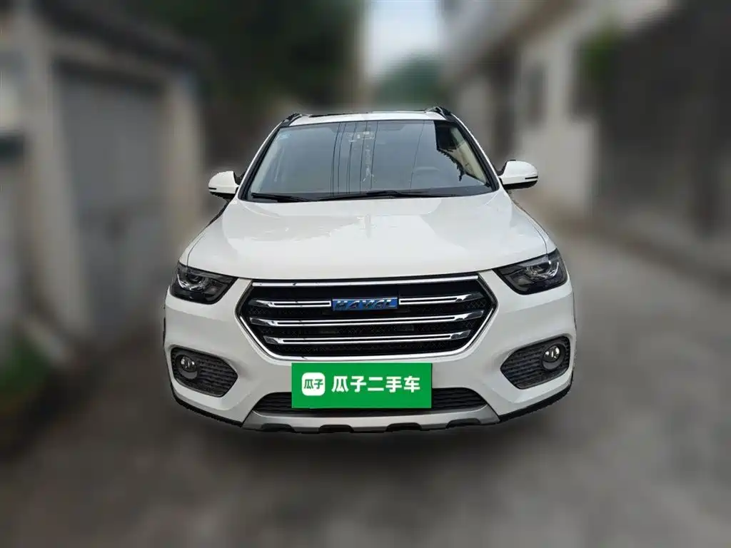 Haval H6 2017 Blue Label Sport 1.5T Auto 2WD Luxury фото 24