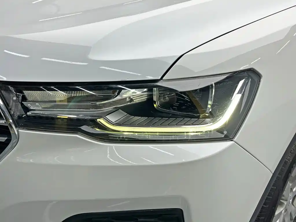 Haval H4 2019 2019 1.5GDIT DCT Luxury Smart Connect Edition China V