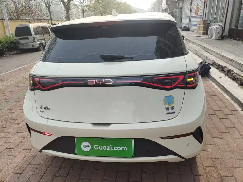 BYD Dolphin 2025 Smart Drive Edition 420km Freedom Version фото 6