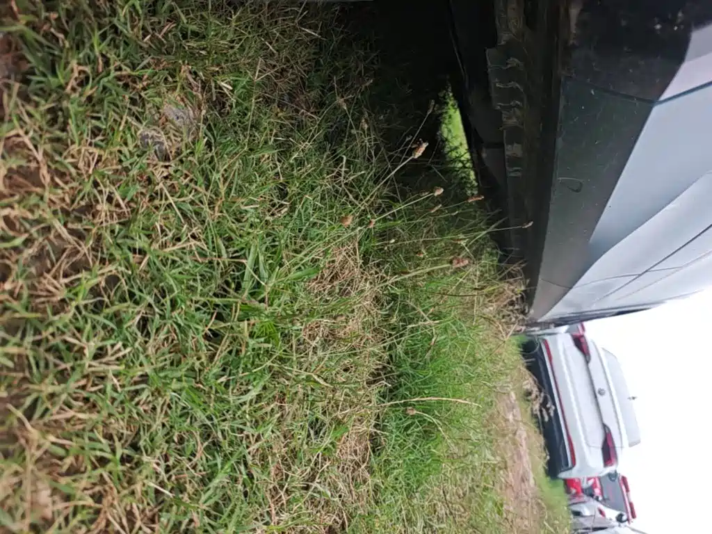 Photo 21 - Volkswagen Tayron
