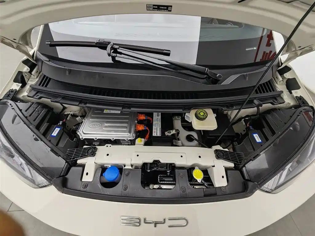 BYD Seagull 2023 Vitality Edition фото 6