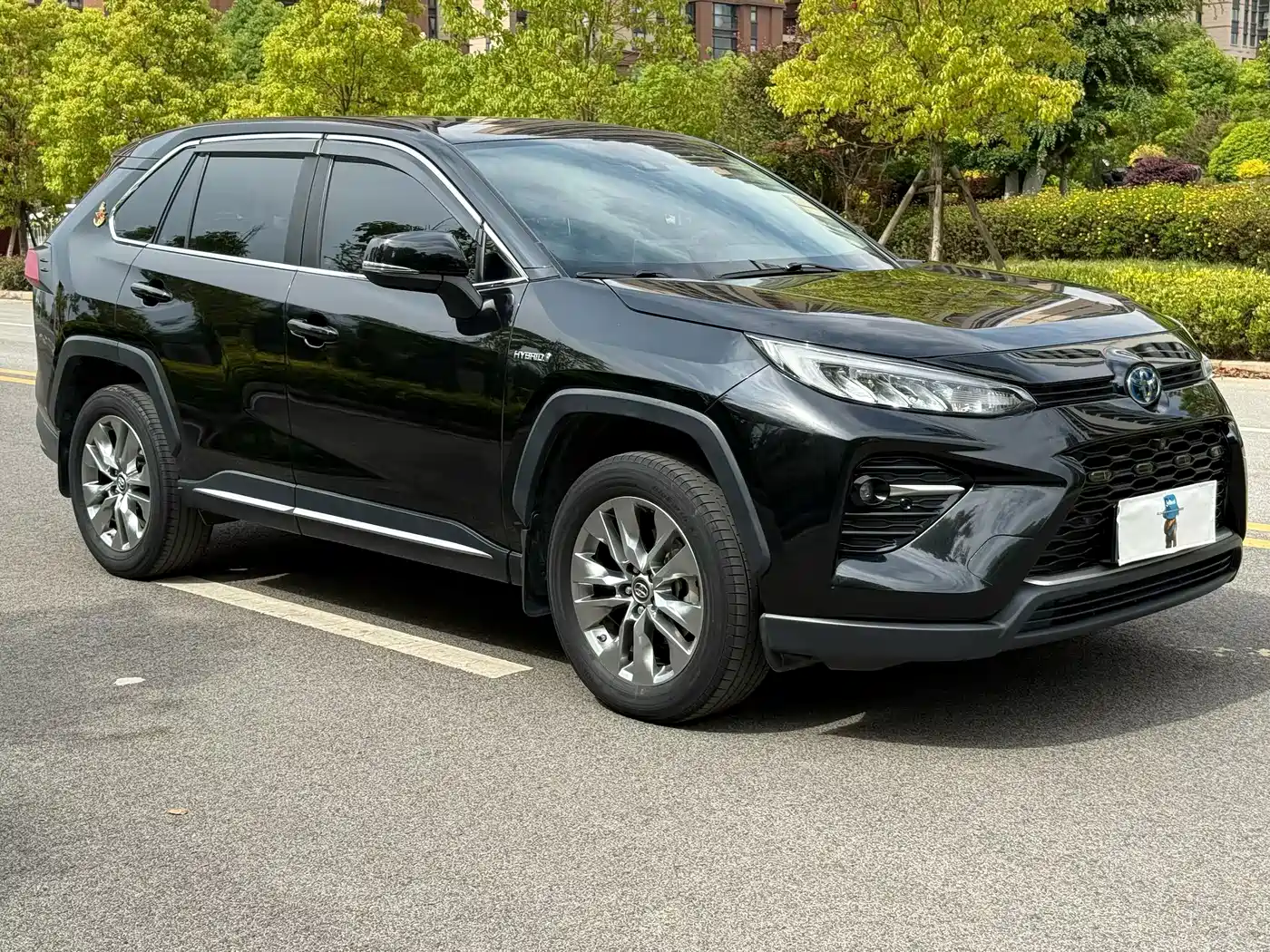 Фото 3 - Toyota Wildlander