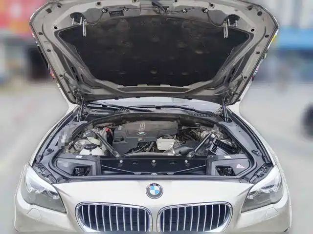 BMW 5 Series 2014 525Li Luxury Design Package — фото 3