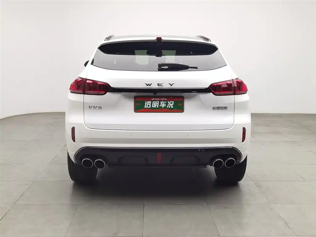 WEI PAI WEI BRAND VV5