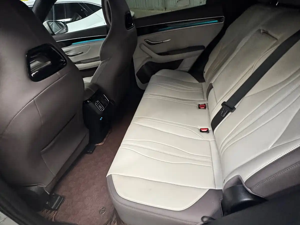 BYD Song PLUS PHEV 2025 DM-i 112KM Premium фото 13