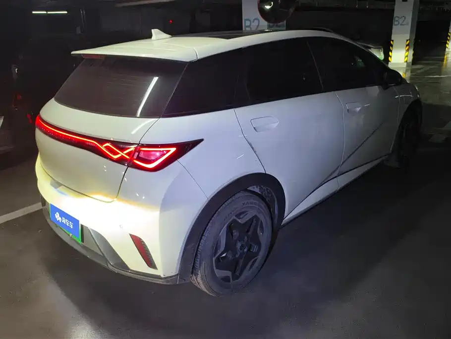 BYD Dolphin 2021 Model 405km Fashion Edition фото 3