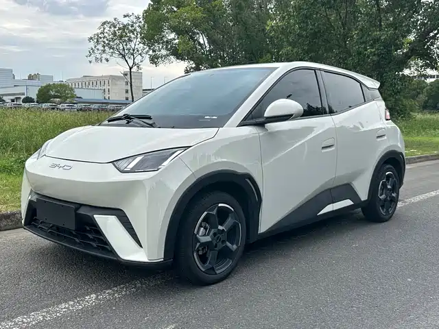 BYD Seagull 2024
