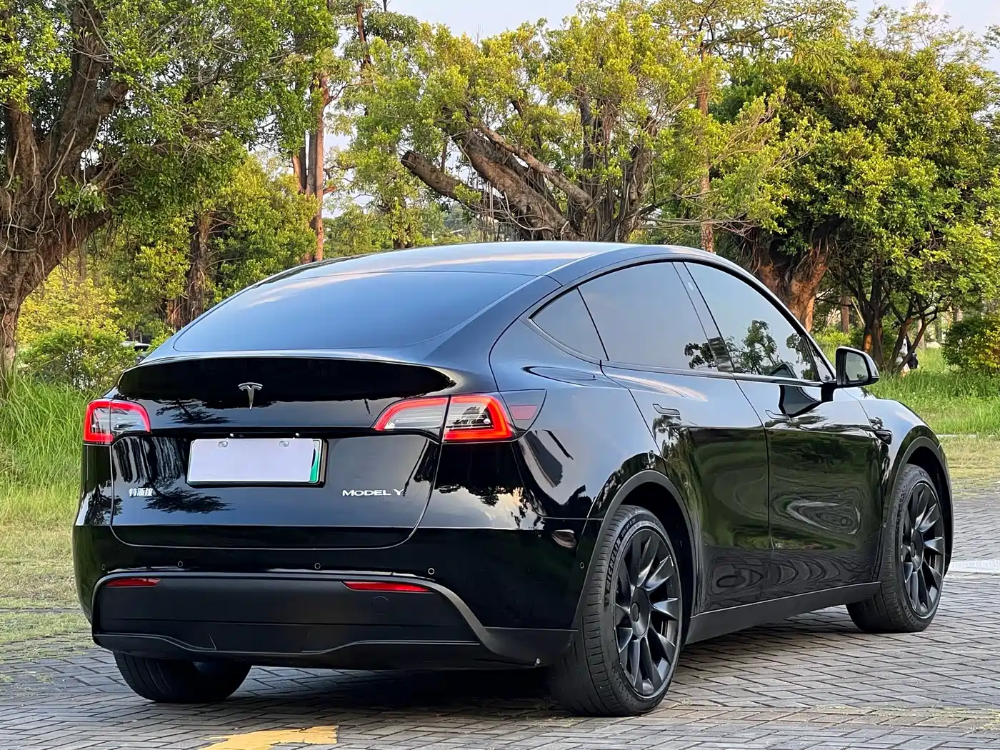 Tesla Model Y 2021 2021 Standard Range Rear-Wheel Drive