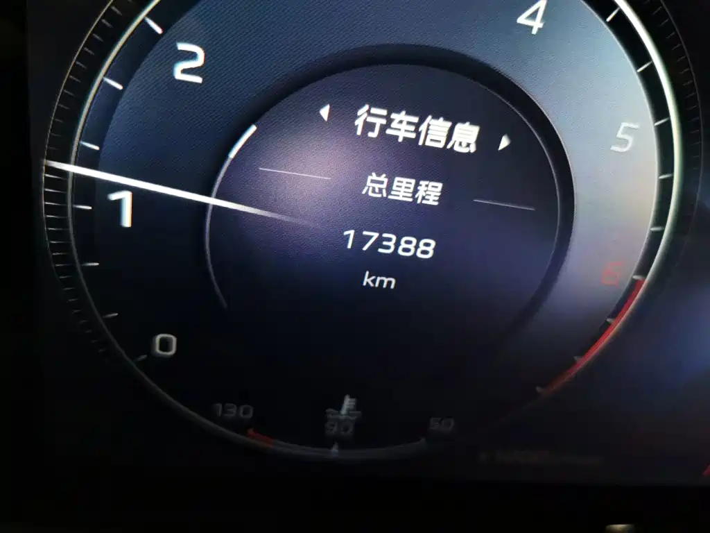 Hongqi HS5 2025 2025 2.0T 2WD Qixiang Pro