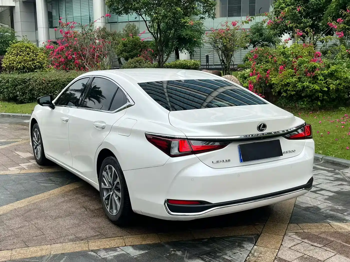 Lexus ES 2024 200 Premium Edition фото 9