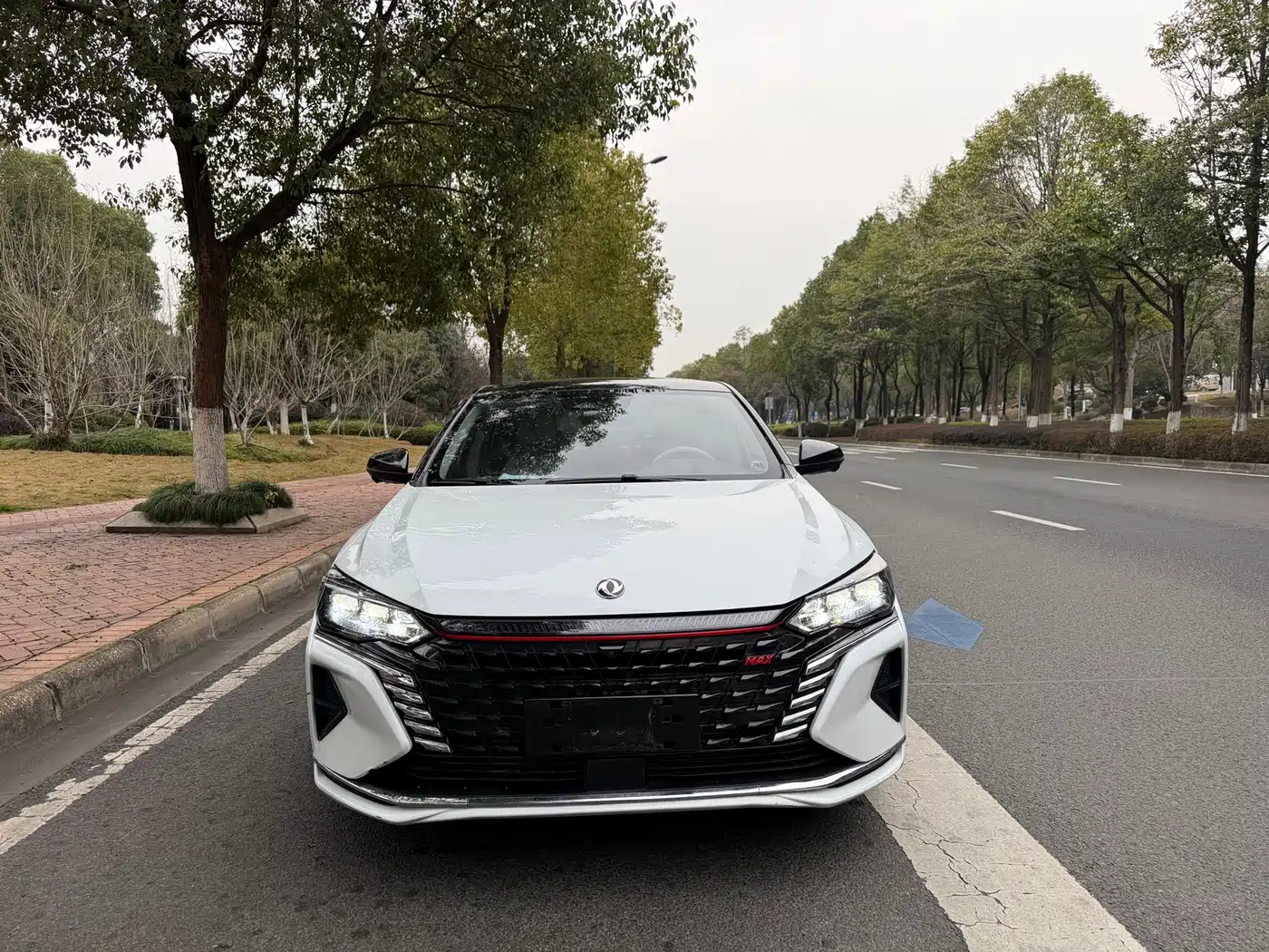 Dongfeng Aeolus Yixuan MAX 2023 2023 1.5T Extraordinary Cool Dad Edition