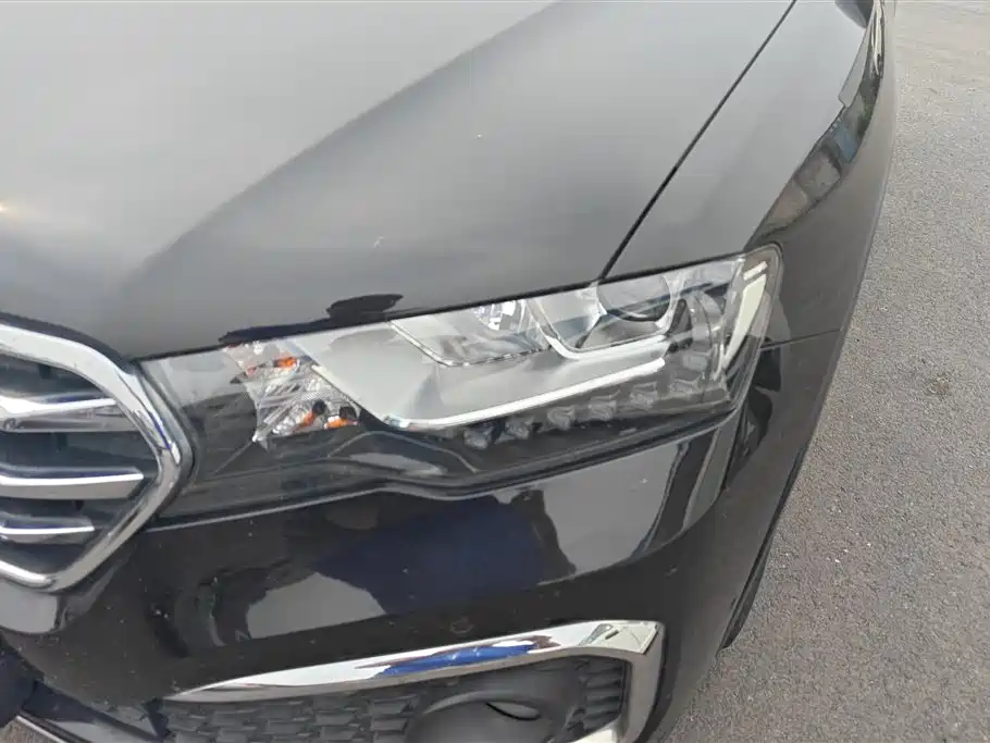 Haval H6 Coupe 2018 Blue Label 1.5T Automatic 2WD Ultra Luxury фото 5