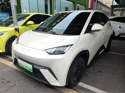 BYD Seagull