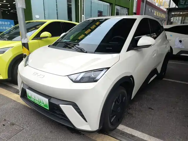 BYD Seagull 305km, Энергия