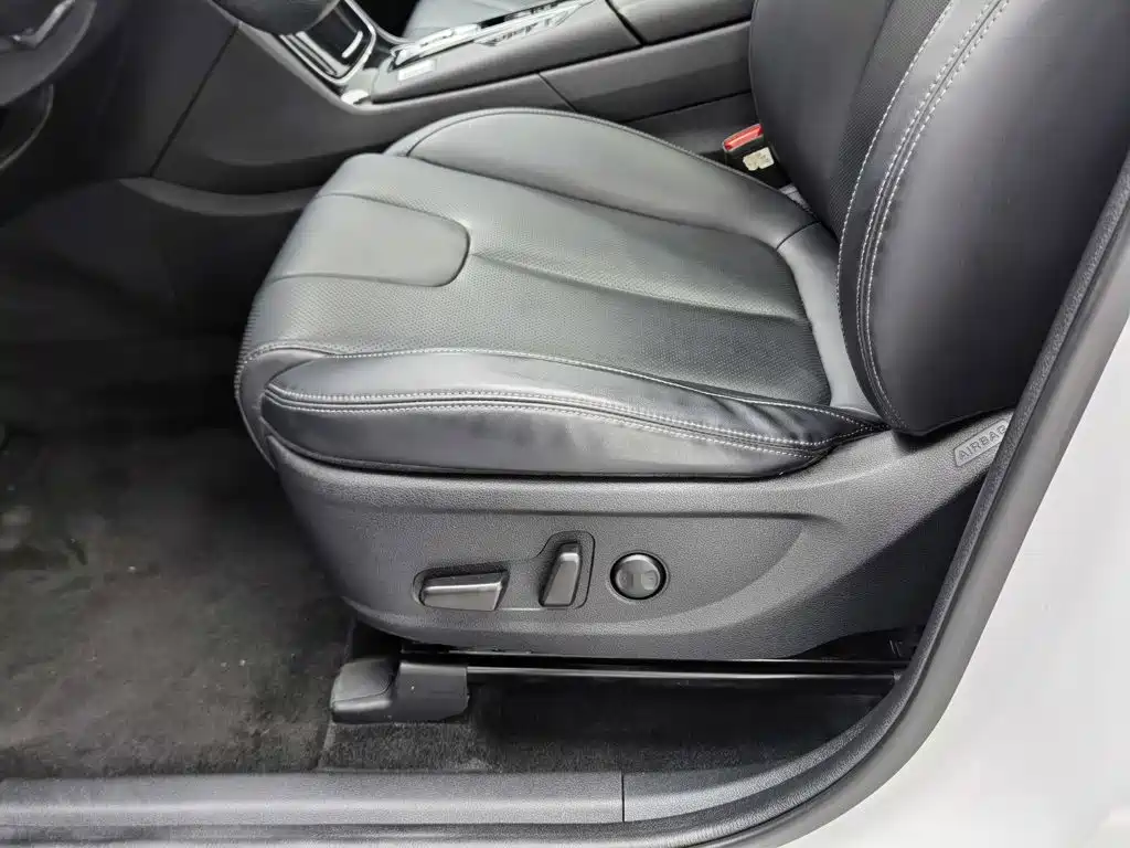 Hyundai Santa Fe 2021 2020 380 TGDi Auto 2WD DLX Premium PLUS