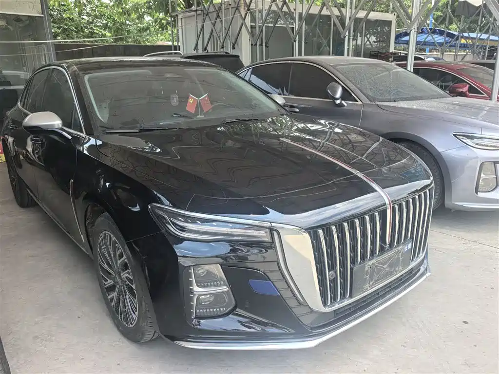 Hongqi H5 2024 2.0T Automatic Smart Connect Flag Smooth Edition фото 19