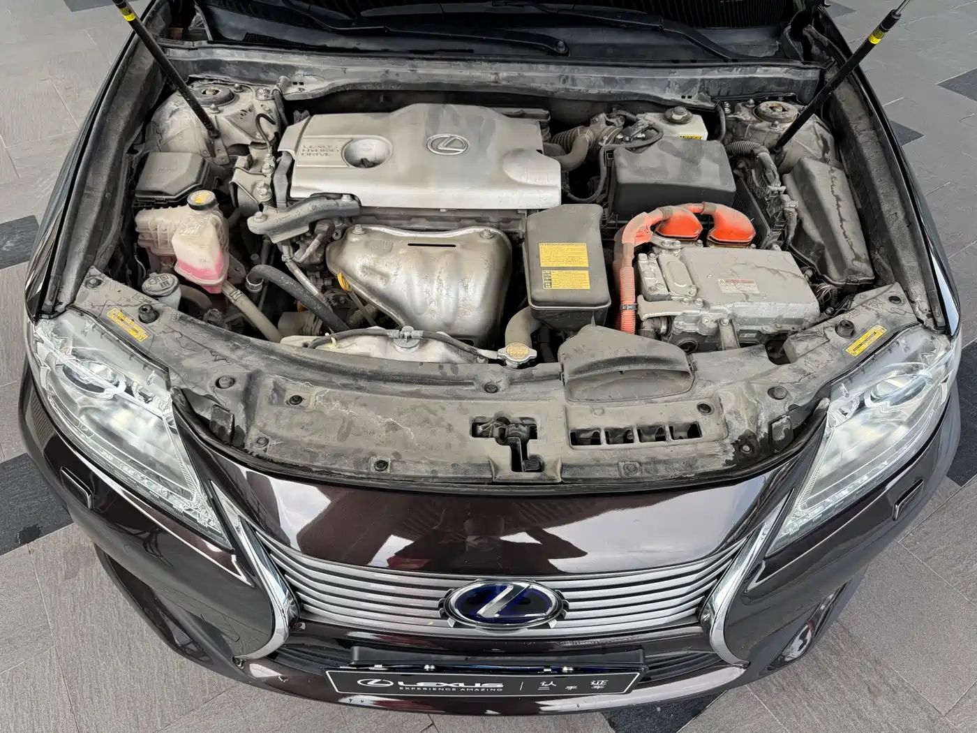 Lexus ES 2013 300h Elite Edition фото 11