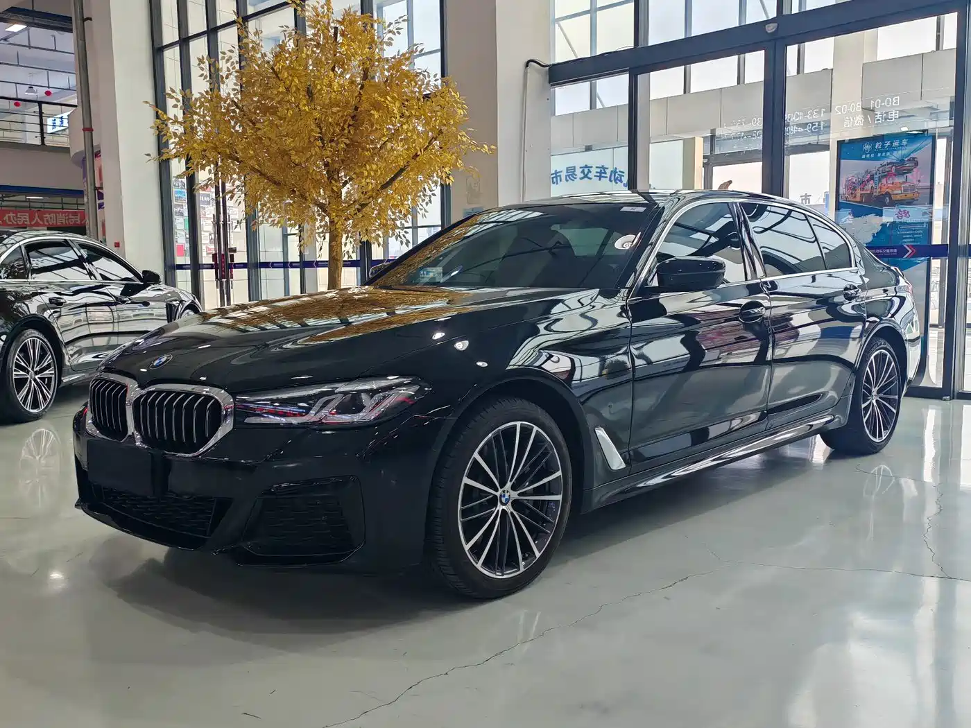 BMW 5 Series 2021 530Li xDrive M Sport Package