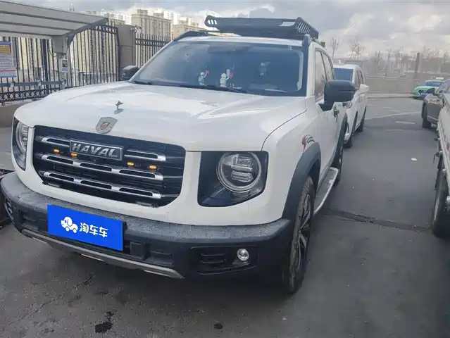 HAVAL BIG DOG