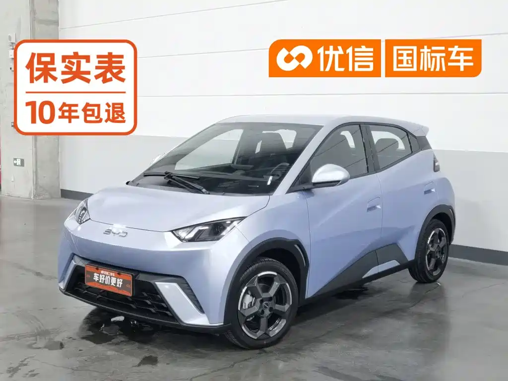 BYD Seagull 2024