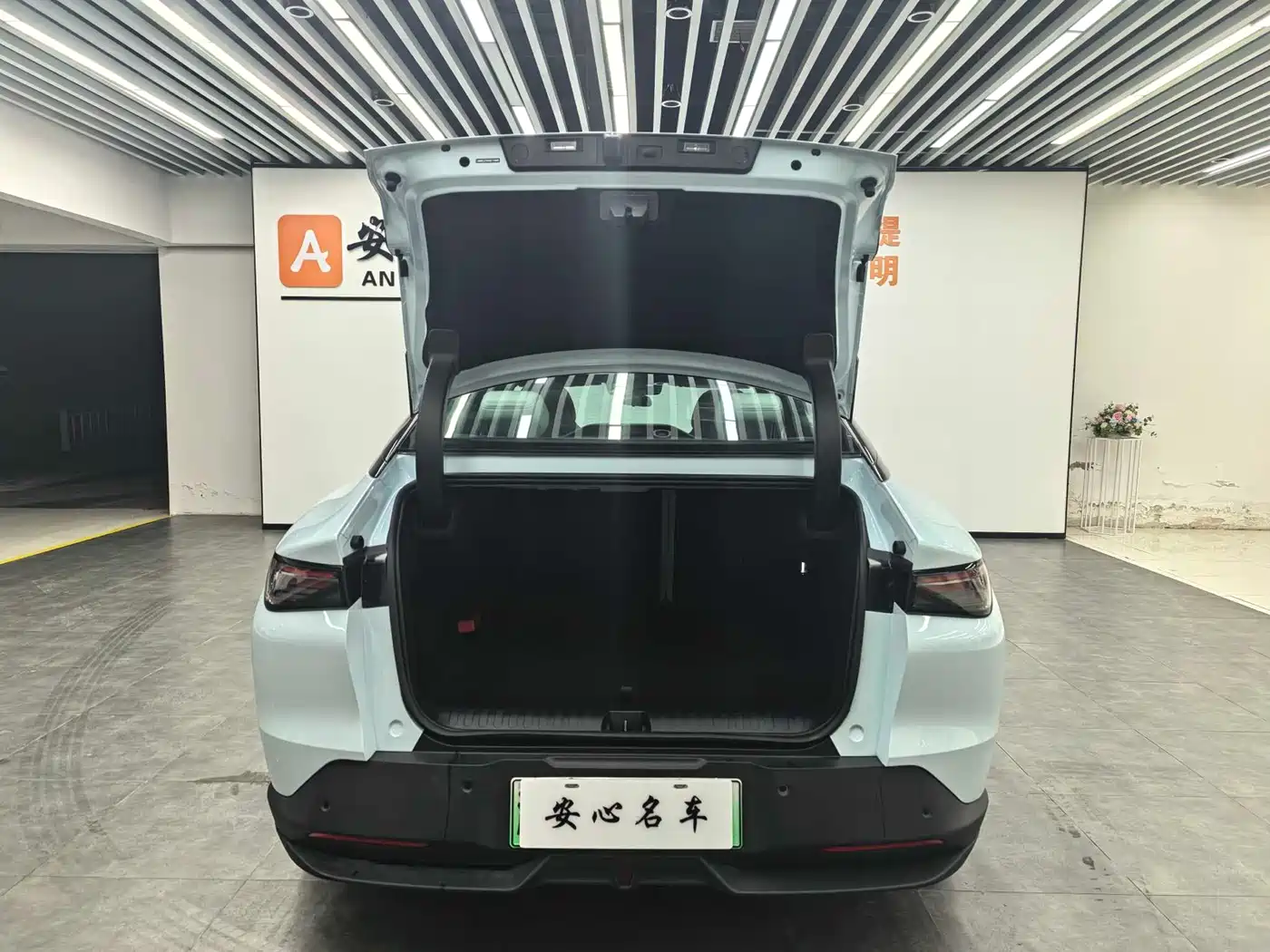 ARCFOX EXTREME FOX POLAR FOX ALPHA S5