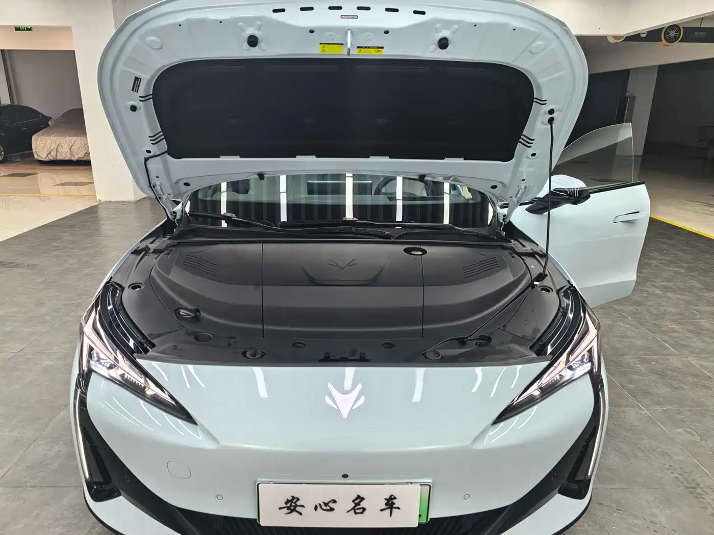 ARCFOX EXTREME FOX POLAR FOX ALPHA S5