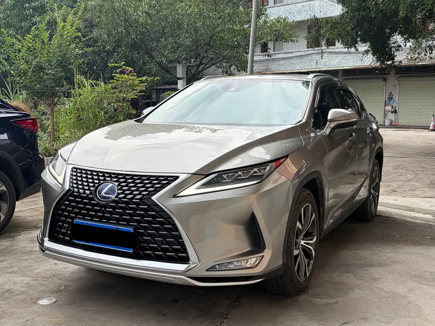 Lexus RX 2020 450h 4WD Elegance Edition China VI