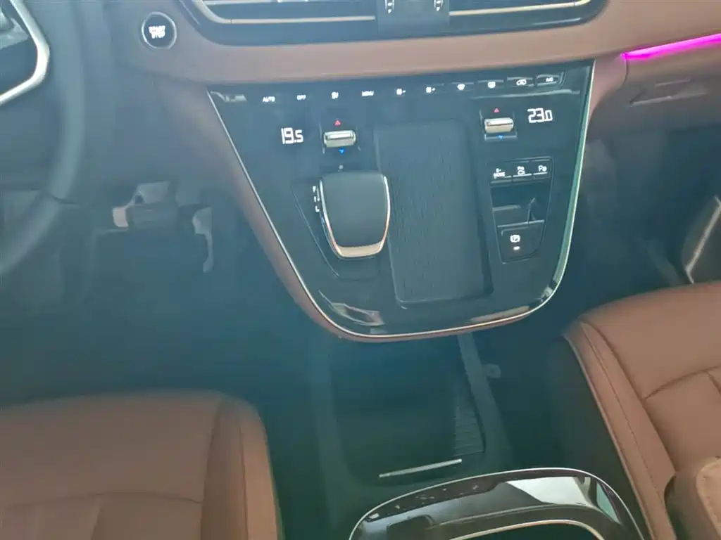 Hongqi HQ9 PHEV 2024 Model 2.0T AWD Luxury Edition фото 14