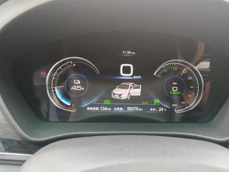 BYD Qin New Energy 2017 Qin EV300 Premium фото 14
