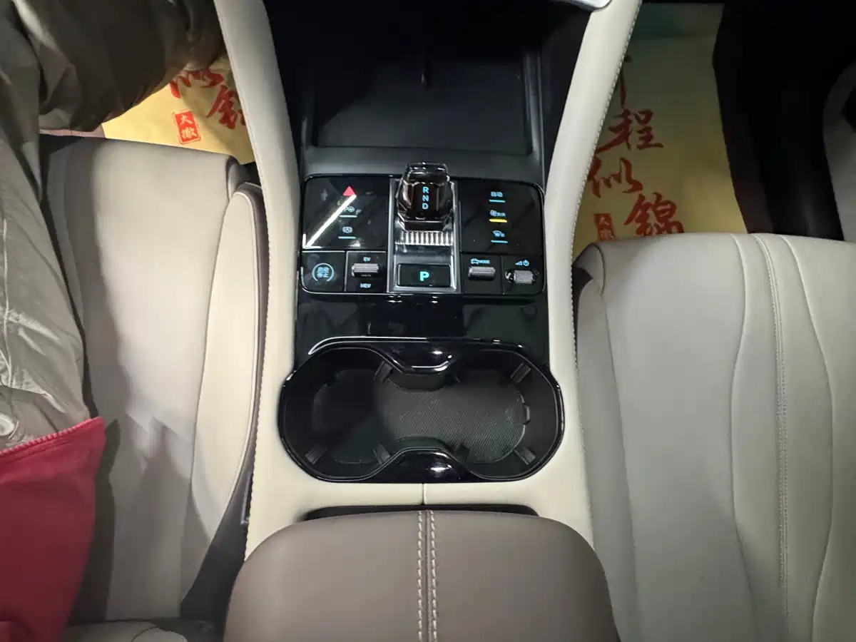 BYD Song PLUS PHEV 2025 DM-i 112KM Premium фото 11