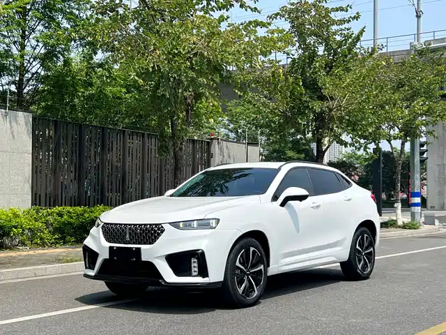 WEI PAI WEI BRAND VV7 GT