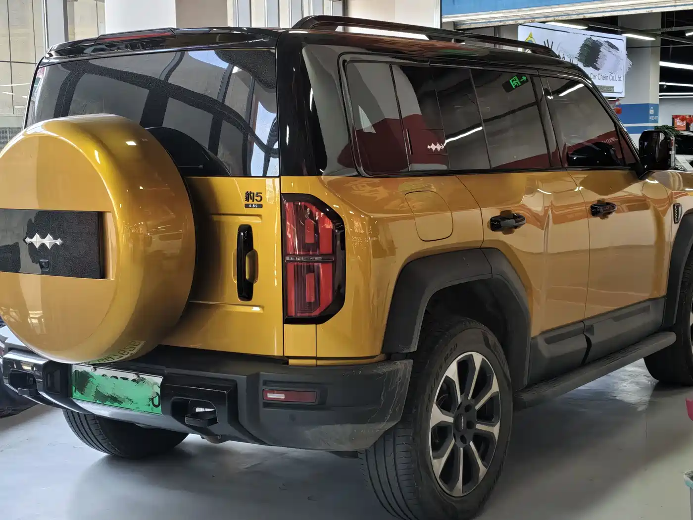 FANG CHENG BAO LEOPARD 5