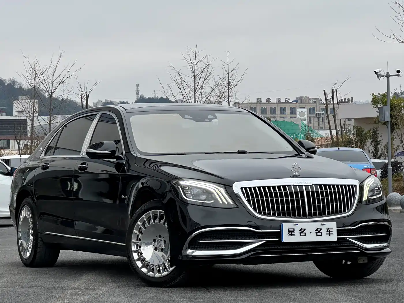 Mercedes-Benz Maybach S-Class 2020 S 450 4MATIC Collector's Edition фото 12