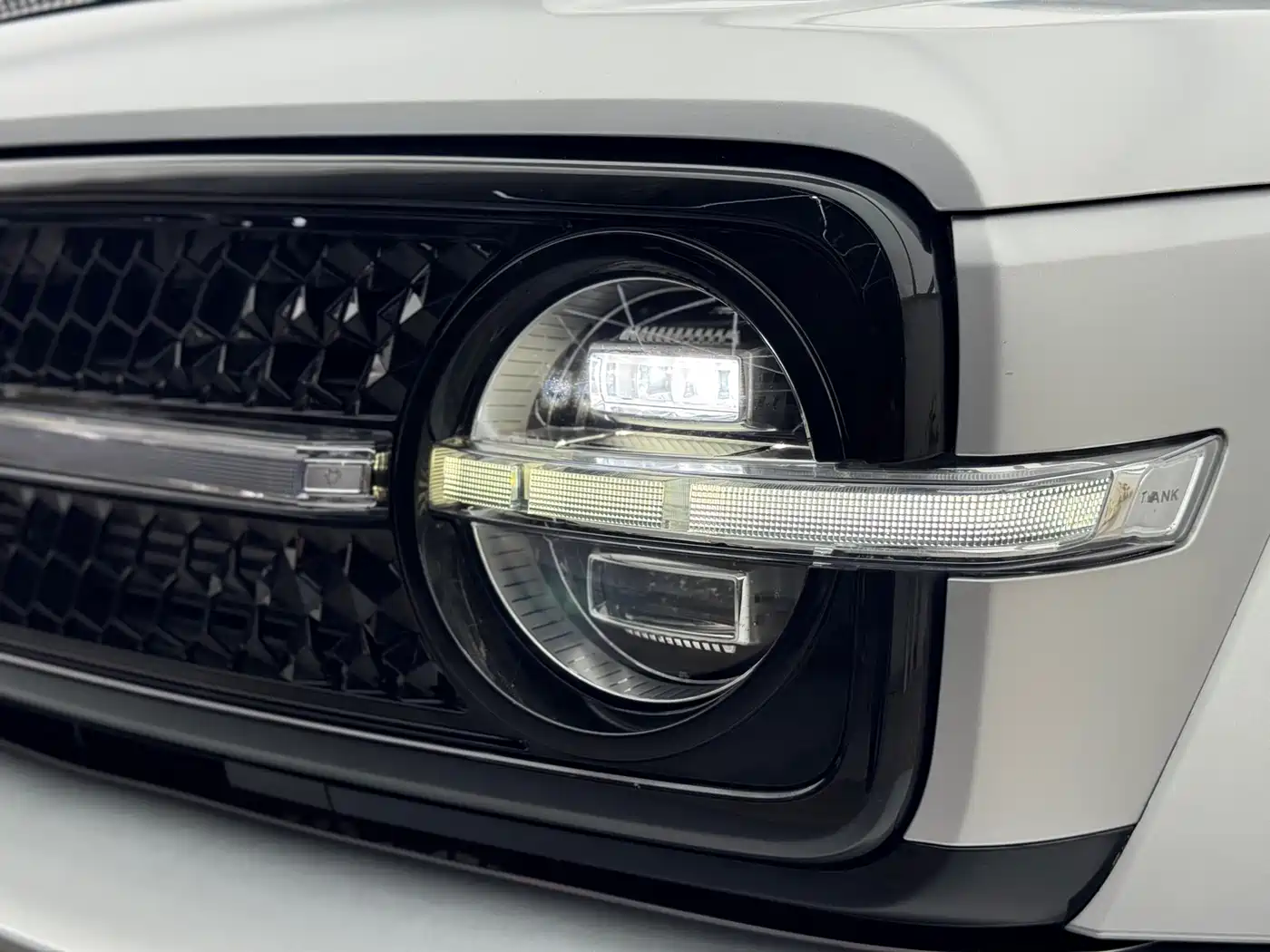 TANK CO CREATION TANK 300