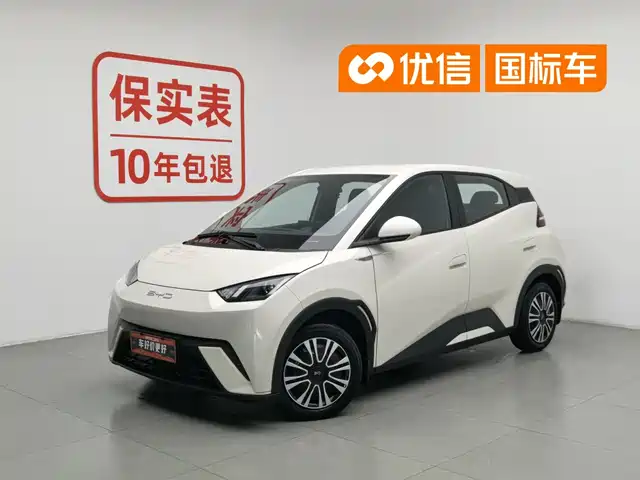 BYD Seagull 2024