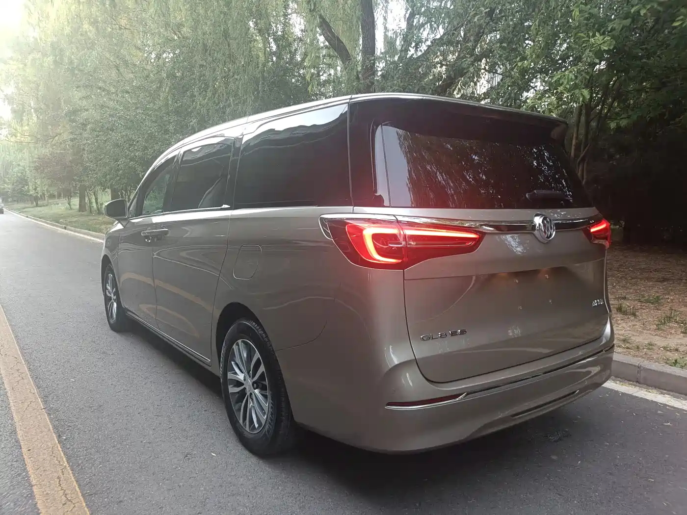 Buick GL8 2023 ES Landmaster Exclusive фото 17