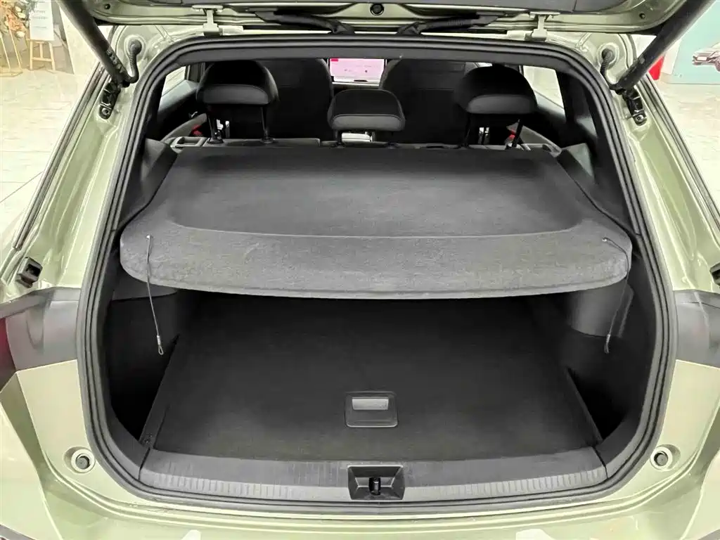 VOLKSWAGEN TANYUE