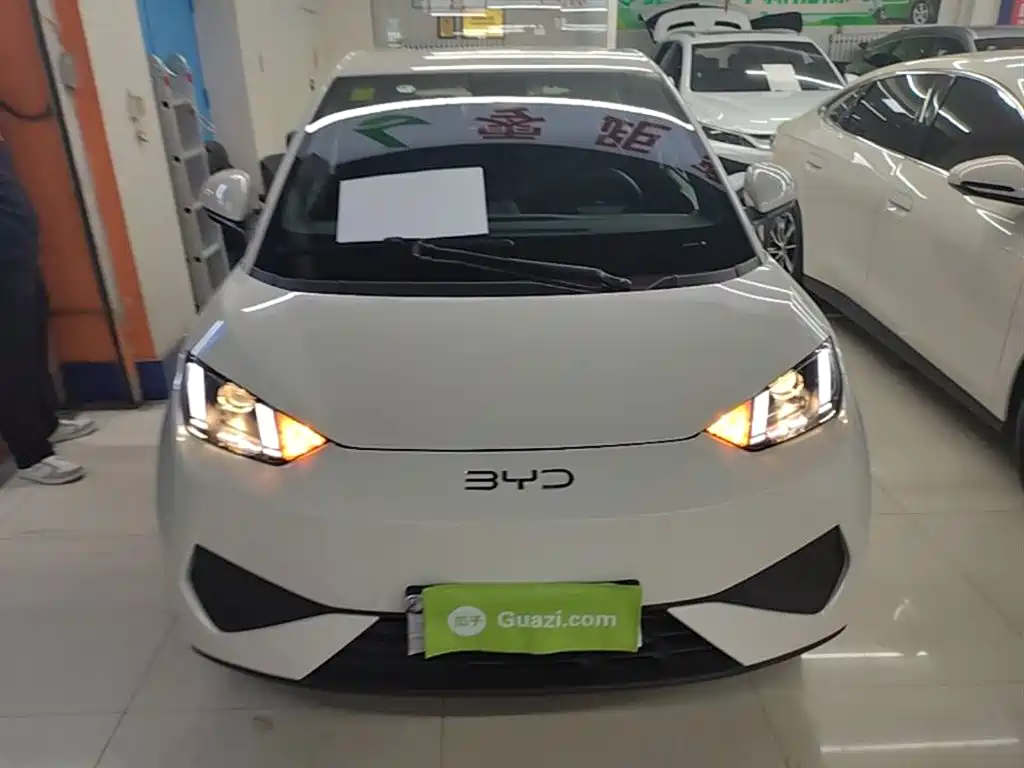 BYD Seagull 2025 Smart Drive Edition 305km Vitality Version фото 3