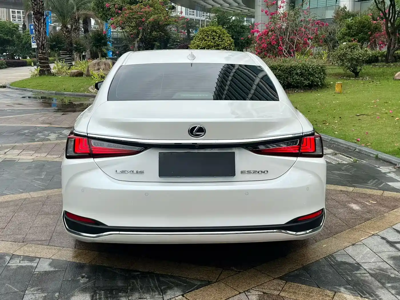 Lexus ES 2024 200 Premium Edition фото 8