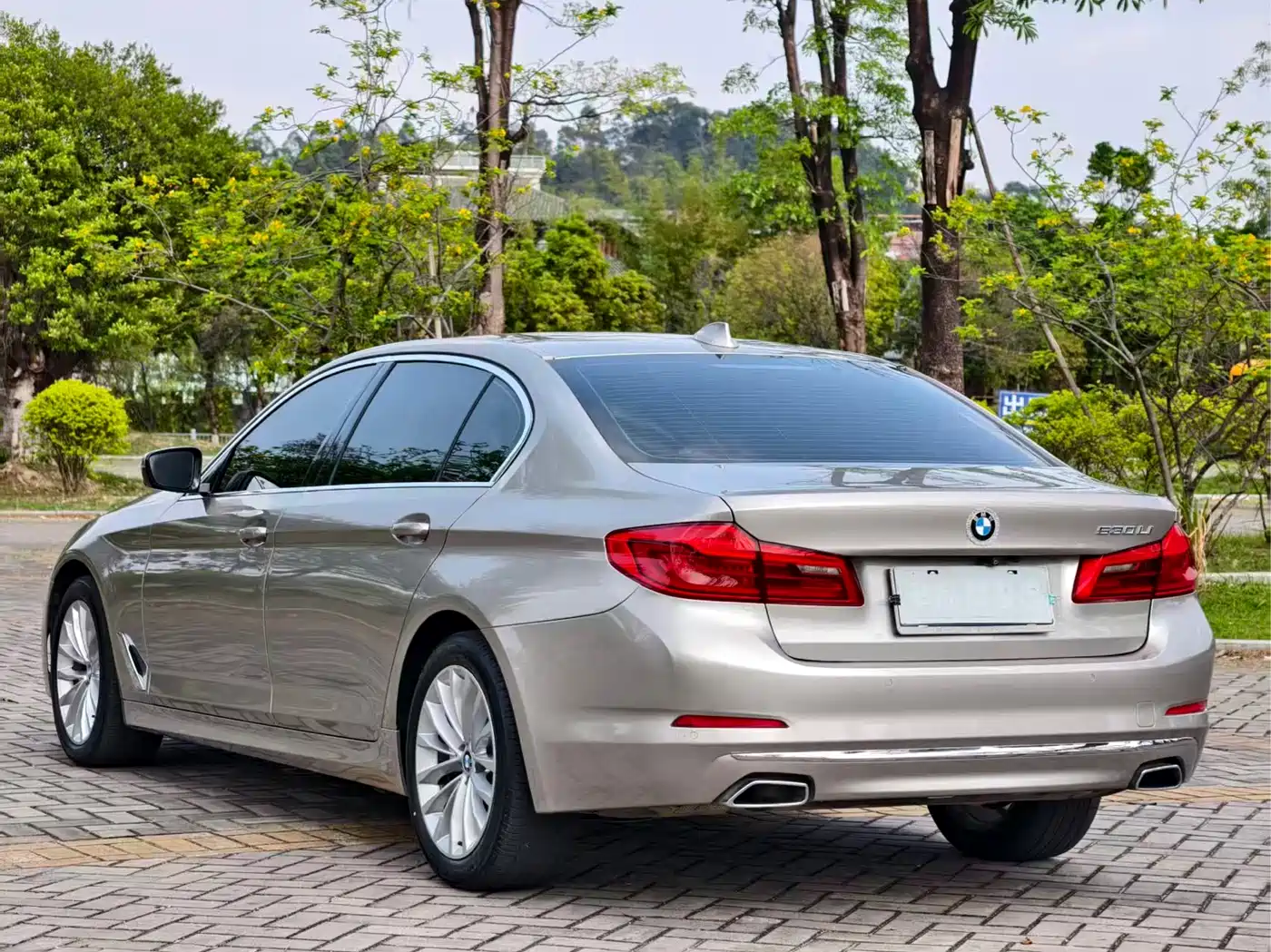 BMW 5 Series 2019 525Li Luxury Package фото 15